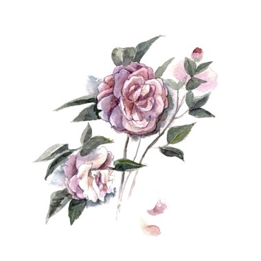 Suluboya el illüstrasyon izole içinde beyaz arka plan üzerinde piones ile boyalı