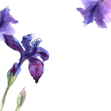 Mor süsen ile şirin suluboya çiçek arka plan. Davet. Düğün kartı. 