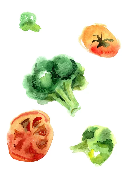Sulu Boya yeşil brokoli ve beyaz arka plan üzerinde izole kırmızı domates el çekilmiş — Stok fotoğraf