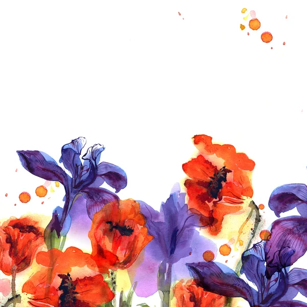 Fundo bonito flor aquarela com papoilas e íris em cores brilhantes . — Fotografia de Stock
