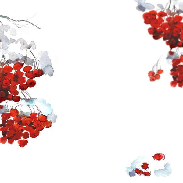 Akvarel zimní pozadí s zasněžené mountain ash. Červené bobule — Stock fotografie