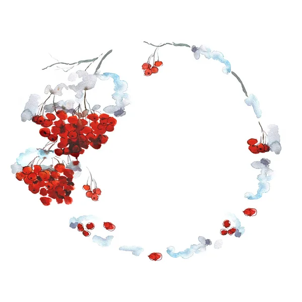 Watercolor winter frame with snowy mountain ash — Stock Photo, Image