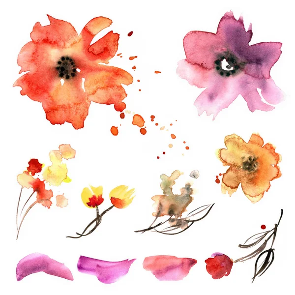 Ładny akwarela ręcznie malowane elementy kwiat — Zdjęcie stockowe