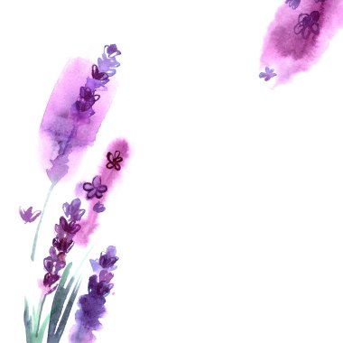 Suluboya el lavanta çiçekleri boyalı