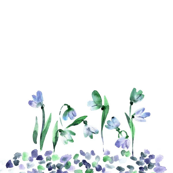 Watercolor hand painted snowdrops isolated — Stock Photo, Image