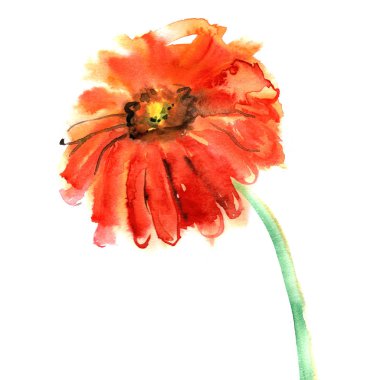 Suluboya el üzerinde gerbera boyalı