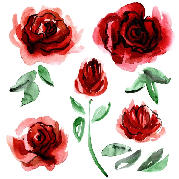 Akvarelu ručně malované květiny prvky — Stock fotografie