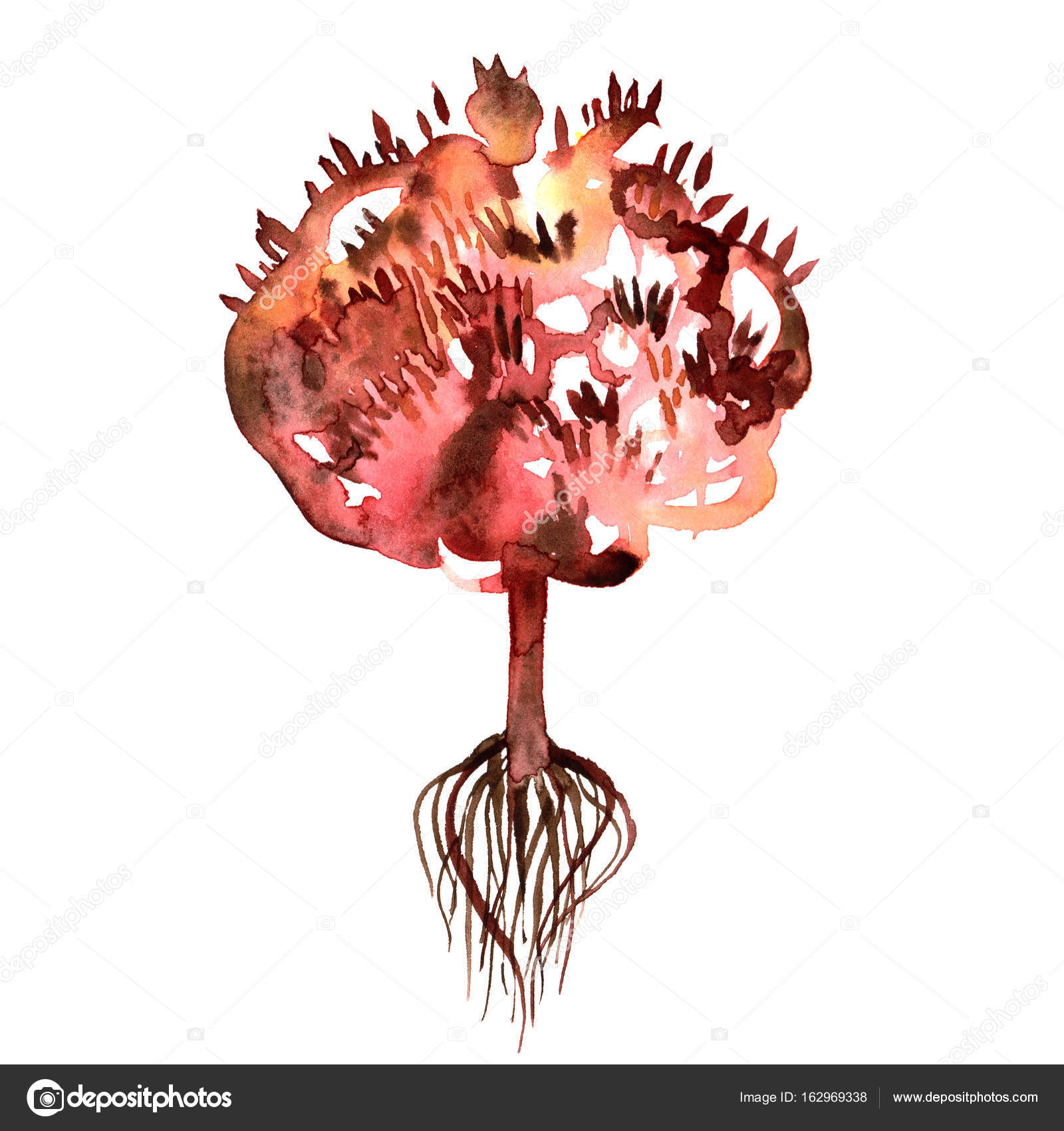 Dipinto a mano dell acquerello rosso autunno albero e radici — Foto Stock