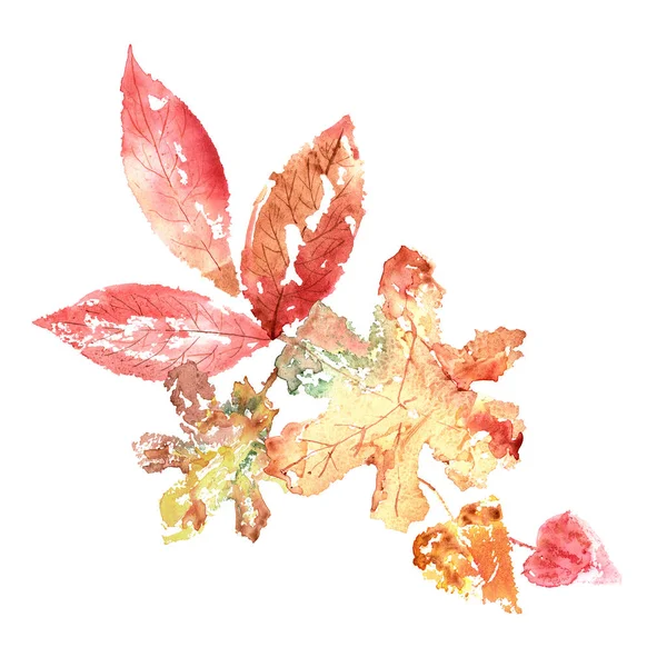 Watercolor hand painted red and yellow autumn leaves — Stock Photo, Image