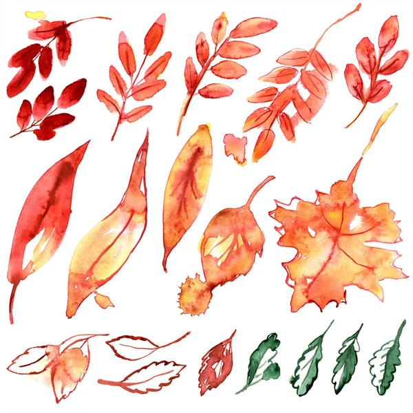 Acquerello dipinto a mano rosso e giallo foglie autunnali — Foto Stock