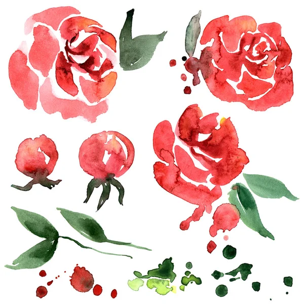 Ładny akwarela ręcznie malowane czerwone róże. Zaproszenie. Karty ślubne. Kartka urodzinowa — Zdjęcie stockowe