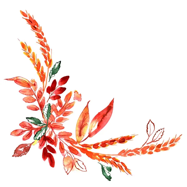 Akwarela ręcznie malowane narożnik z uszu i pomarańczowy liści jesienią. Święto Dziękczynienia ozdoba — Zdjęcie stockowe