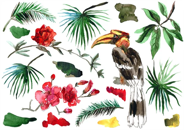 Akvarelu ručně malované tropické sada s palmovými listy, exotické květiny a Tukan. — Stock fotografie