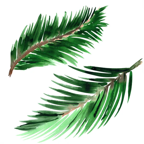 Akwarela ręcznie malowane tropikalnych palm liści na białym tle — Zdjęcie stockowe