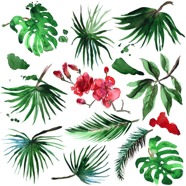 Set of watercolor hand painted tropical palm leaves isolated on white