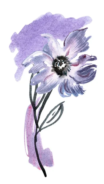 Schattig aquarel handgeschilderde paarse bloemen. Uitnodiging. Kaart van de bruiloft. Verjaardagskaart — Stockfoto