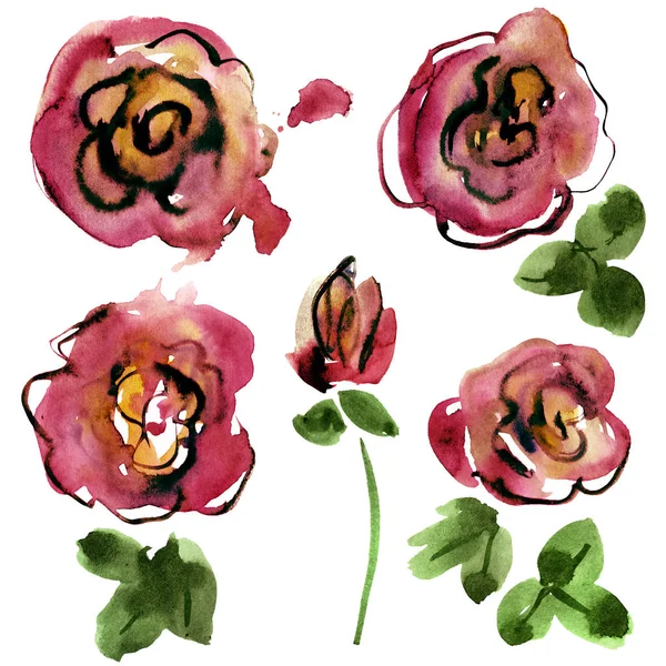 Watercolor hand painted roses. Elements for design