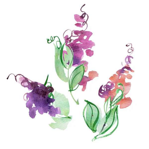 Aquarel handgeschilderde abstracte paarse bloemen. Elementen voor ontwerp — Stockfoto