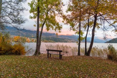 Yalnız tezgah göl sonbahar akşam bankada. Sonbahar gün batımında dağ Alpleri'nde. Park, Avusturya Avrupa Gölü Millstatt yeşillik