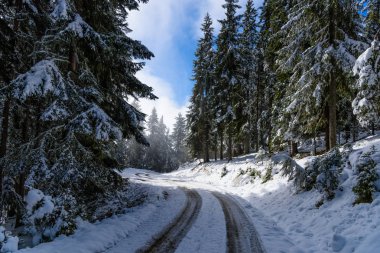 Kış yol Şehir Parkı veya orman. 