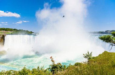  Niagara falls. Kanada 