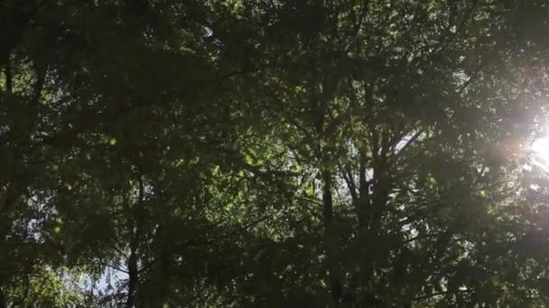 Le reflet du soleil de la lentille 