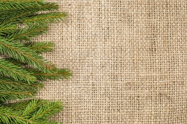 Yeşil Noel çerçeve kopya alanı ile. Rustik arka plan üzerinde Ladin dal.