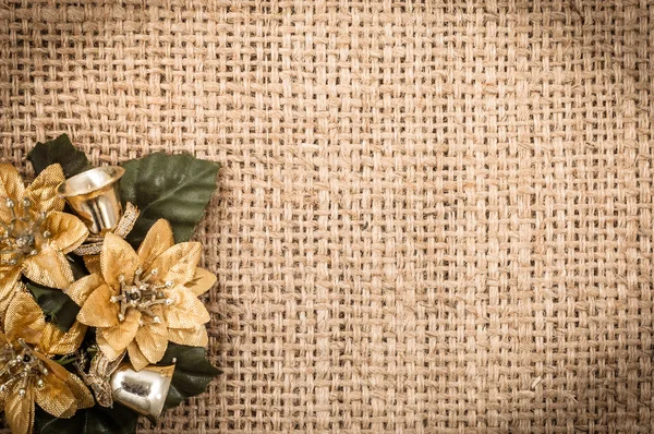 Poinsétia. Decoração para fundo de Natal, espaço de cópia — Fotografia de Stock