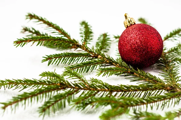 Christmas tree with bauble on white background. Red glass ball on spruce Stock Snímky