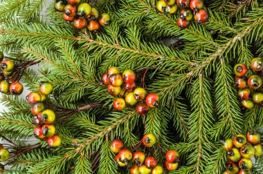 Ladin, arka planlar, Noel dekorasyonu dalları