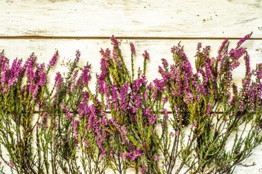 Sonbahar heather çiçekli çerçeve ahşap arka plan, üstten görünüm