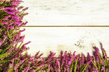 Heather rustik ahşap arka plan üzerinde mor renkli çiçekler