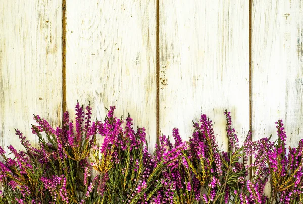 Ahşap arka plan, havai görünümü üzerinde sonbahar heather çiçekli çerçeve
