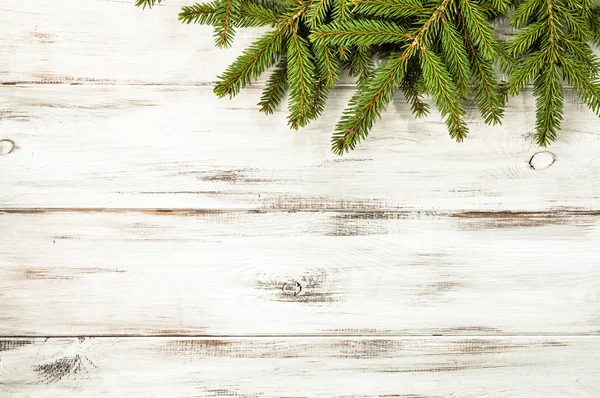 Decoración de Navidad, rama de abeto verde sobre fondo blanco . — Foto de Stock