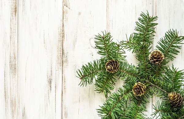 Ahşap Ladin şubesi ile Noel arka planlar