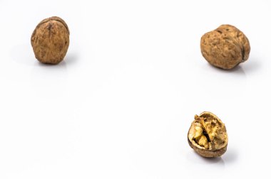 Beyaz arka planda cevizler.