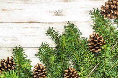 Çam kozalakları ahşap arka plan üzerinde ile yeşil Noel ağacı