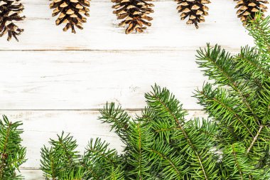 Noel dekorasyonu. Beyaz ahşap zemin üzerine yeşil çam ağacı.