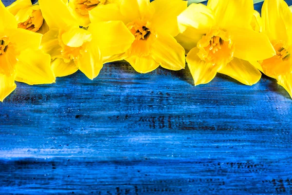 Květinový rámeček s narcisy květy vybrané na dřevěné pozadí — Stock fotografie