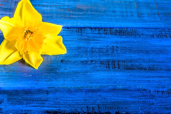 木製の背景で選択した水仙の花と花のコーナー — ストック写真