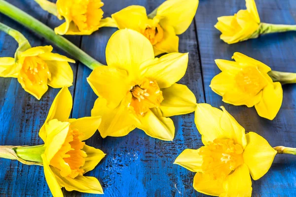 Narcisos amarillos macro flores en mesa de madera — Foto de Stock