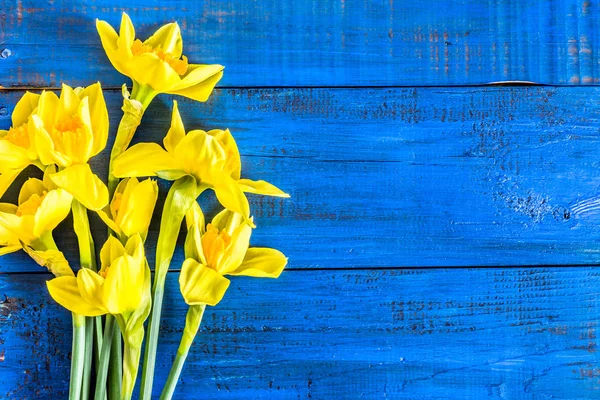Beautiful daffodils flowers selected on wooden background — Stock Photo, Image