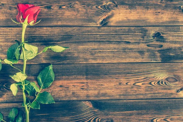 Rose rosse su sfondo di legno, biglietto di San Valentino con spazio vuoto — Foto Stock