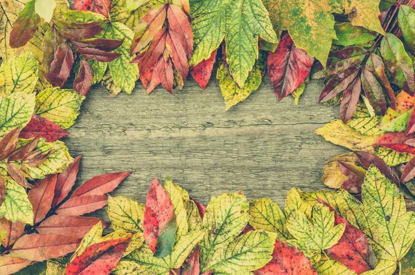 Colorful autumn wallpaper, leaves frame on wooden background