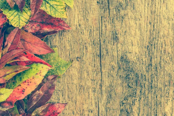 Herbst Blätter Hintergründe, Herbst Tapete mit Blättern auf Holz Hintergrund — Stockfoto