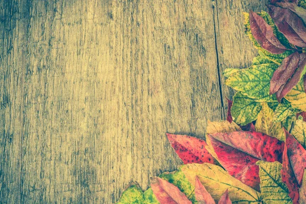 Bunte Herbstblätter, Hintergrund, Kopierraum — Stockfoto