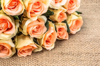 Pembe Gül rustik arka plan üzerinde. Çiçekli Çerçeve, çiçek tebrik kartı.