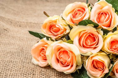 Pembe Gül rustik arka plan üzerinde. Çiçekli Çerçeve, çiçek tebrik kartı.