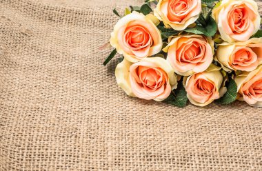 Bayan gün gül rustik arka plan üzerinde. Çiçekli Çerçeve, çiçek tebrik kartı.