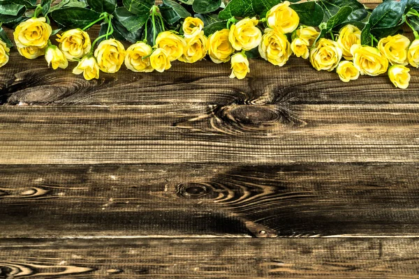 木の上の黄色いバラ。コピー スペース花ボーダー — ストック写真